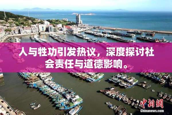 人与牲功引发热议，深度探讨社会责任与道德影响。