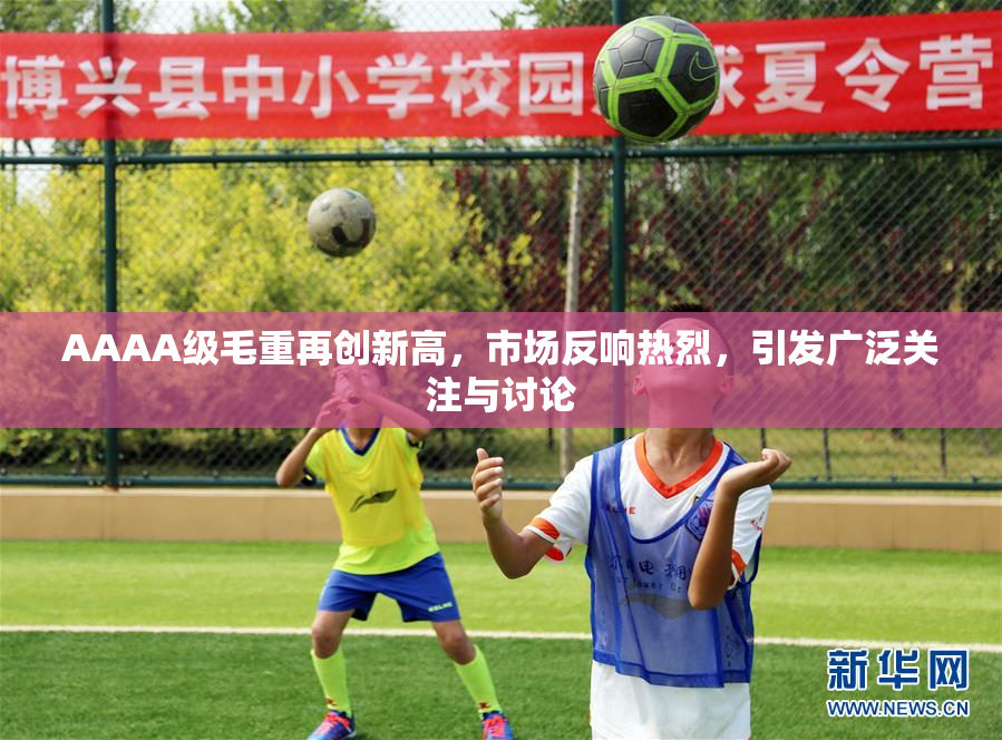 AAAA级毛重再创新高，市场反响热烈，引发广泛关注与讨论