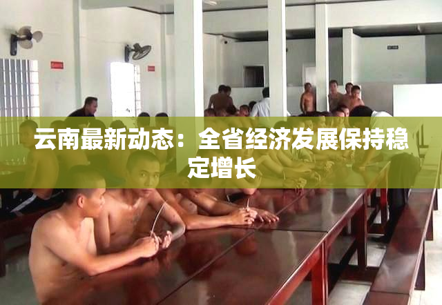 云南最新动态：全省经济发展保持稳定增长
