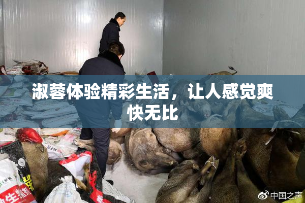 淑蓉体验精彩生活，让人感觉爽快无比