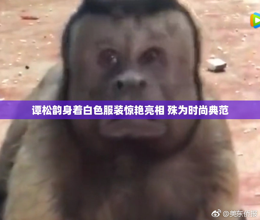 谭松韵身着白色服装惊艳亮相 殊为时尚典范