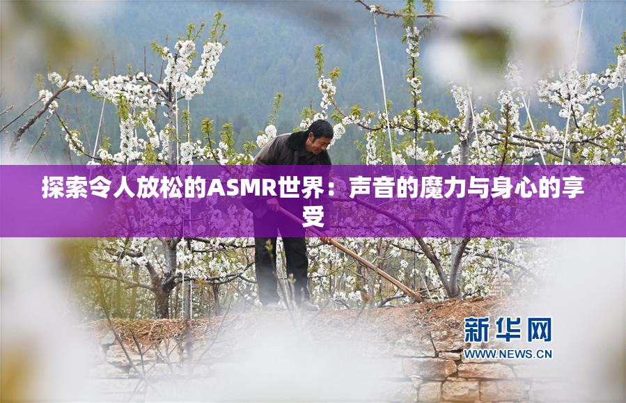 探索令人放松的ASMR世界：声音的魔力与身心的享受