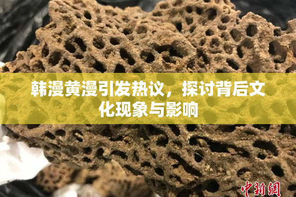 韩漫黄漫引发热议，探讨背后文化现象与影响