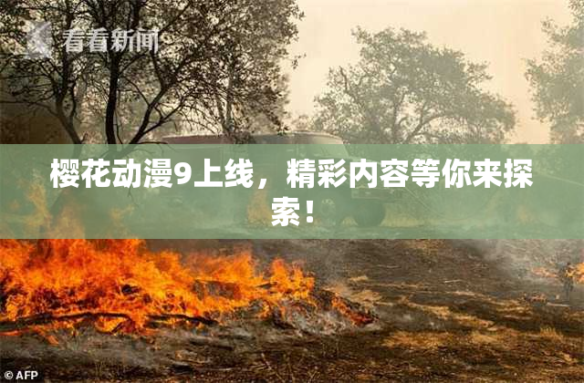 樱花动漫9上线，精彩内容等你来探索！