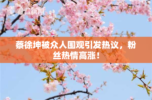 蔡徐坤被众人围观引发热议，粉丝热情高涨！