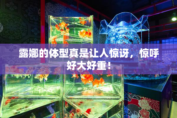 露娜的体型真是让人惊讶，惊呼好大好重！