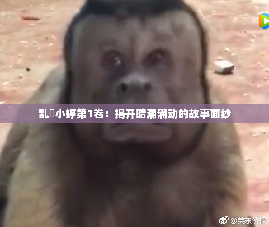 乱婬小婷第1卷：揭开暗潮涌动的故事面纱