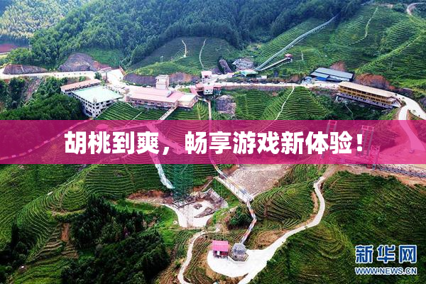 胡桃到爽，畅享游戏新体验！