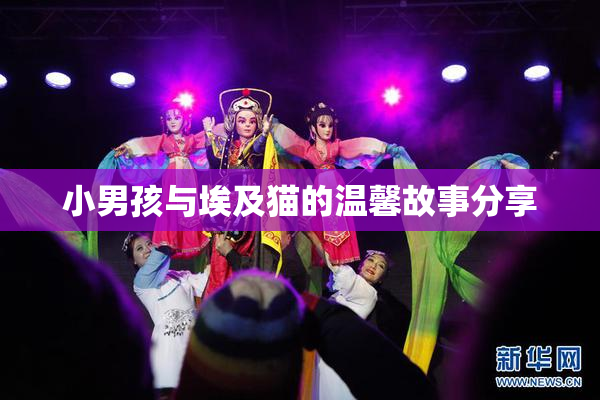 小男孩与埃及猫的温馨故事分享