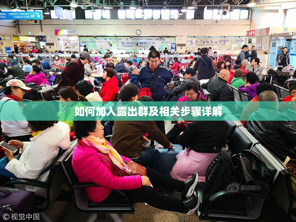 如何加入露出群及相关步骤详解