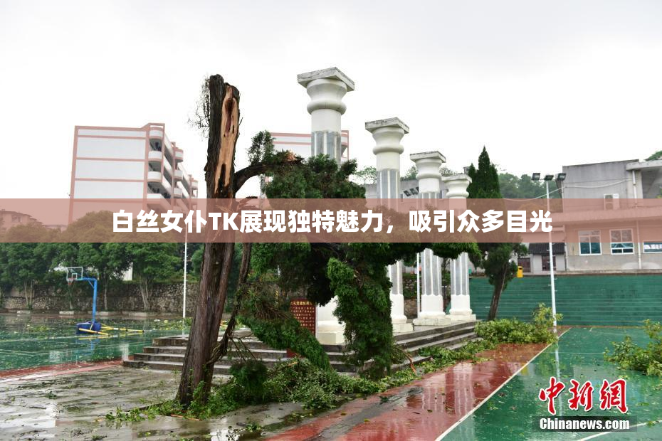 白丝女仆TK展现独特魅力，吸引众多目光