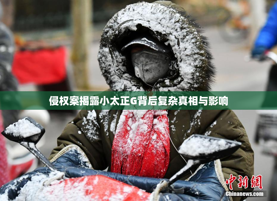 侵权案揭露小太正G背后复杂真相与影响