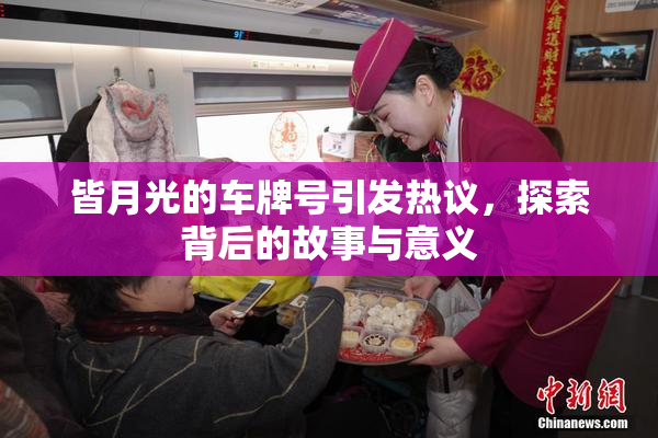 皆月光的车牌号引发热议，探索背后的故事与意义