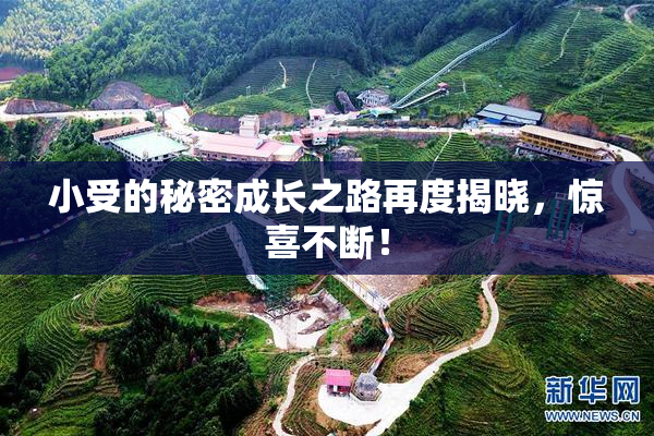 小受的秘密成长之路再度揭晓，惊喜不断！