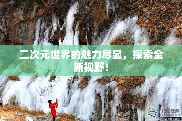二次元世界的魅力尽显，探索全新视野！