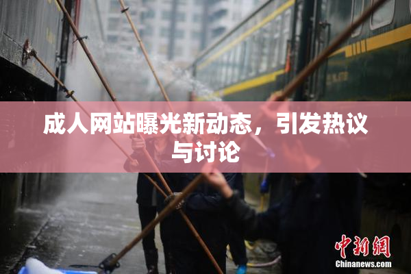 成人网站曝光新动态，引发热议与讨论