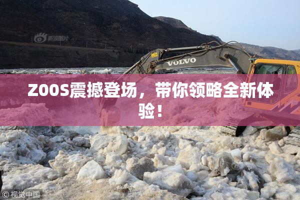 Z00S震撼登场，带你领略全新体验！