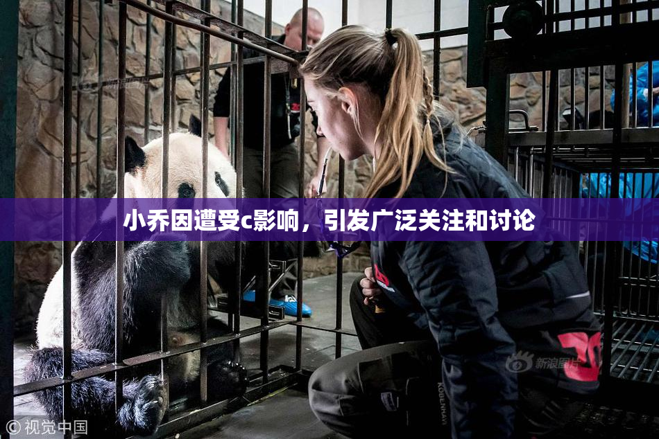 小乔因遭受c影响，引发广泛关注和讨论