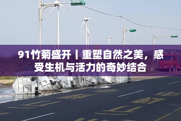 91竹菊盛开丨重塑自然之美，感受生机与活力的奇妙结合
