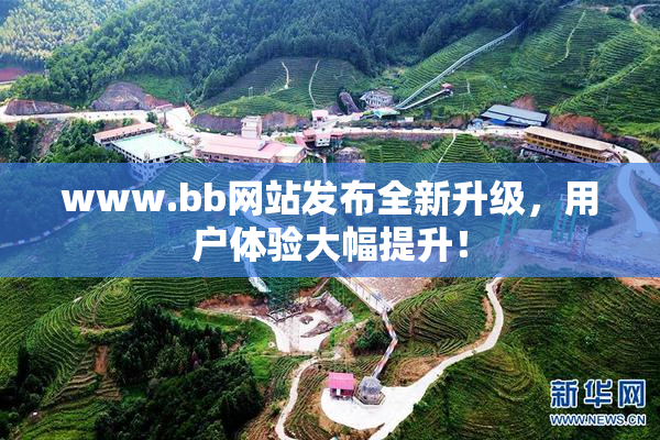www.bb网站发布全新升级，用户体验大幅提升！