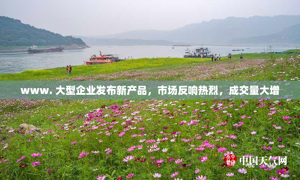 www. 大型企业发布新产品，市场反响热烈，成交量大增