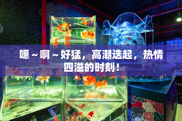 嗯～啊～好猛，高潮迭起，热情四溢的时刻！