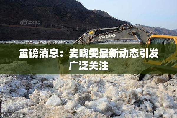 重磅消息：麦晓雯最新动态引发广泛关注