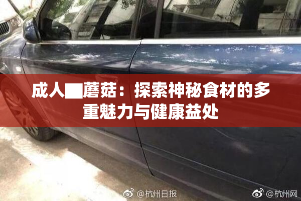 成人▇蘑菇：探索神秘食材的多重魅力与健康益处