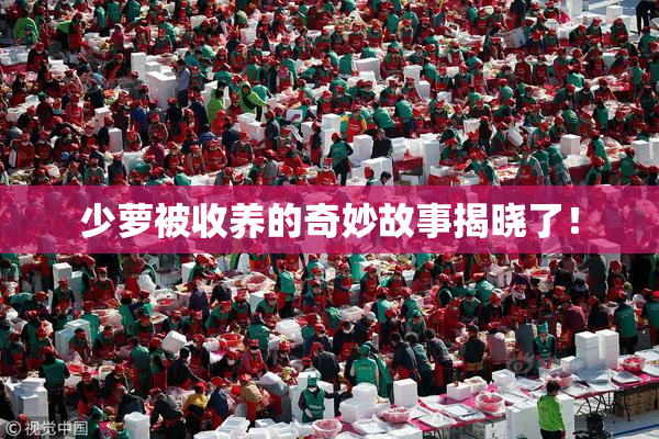 少萝被收养的奇妙故事揭晓了！