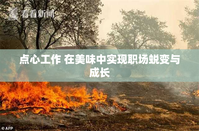 点心工作 在美味中实现职场蜕变与成长