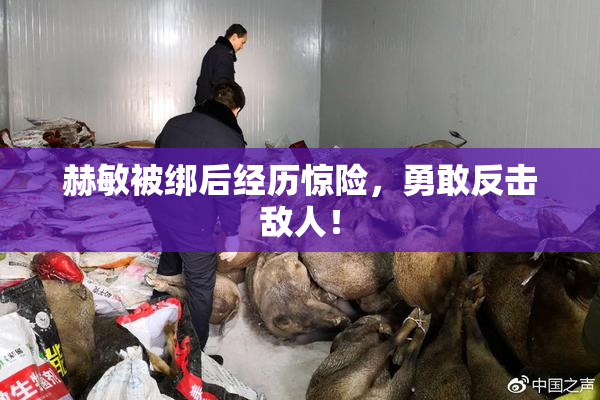 赫敏被绑后经历惊险，勇敢反击敌人！