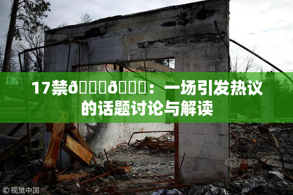 17禁🍆🍑：一场引发热议的话题讨论与解读