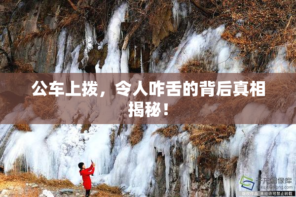 公车上拨，令人咋舌的背后真相揭秘！
