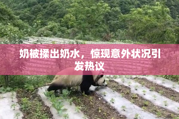 奶被揉出奶水，惊现意外状况引发热议