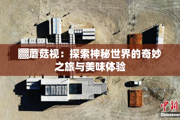 ▓蘑菇视：探索神秘世界的奇妙之旅与美味体验