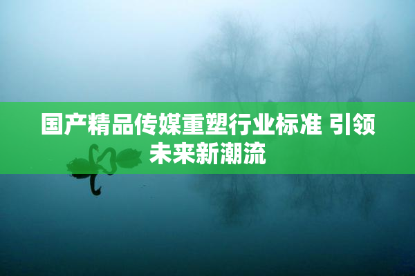 国产精品传媒重塑行业标准 引领未来新潮流