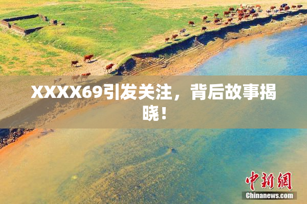 XXXX69引发关注，背后故事揭晓！