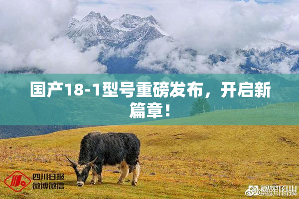 国产18-1型号重磅发布，开启新篇章！