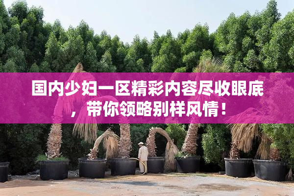 国内少妇一区精彩内容尽收眼底，带你领略别样风情！