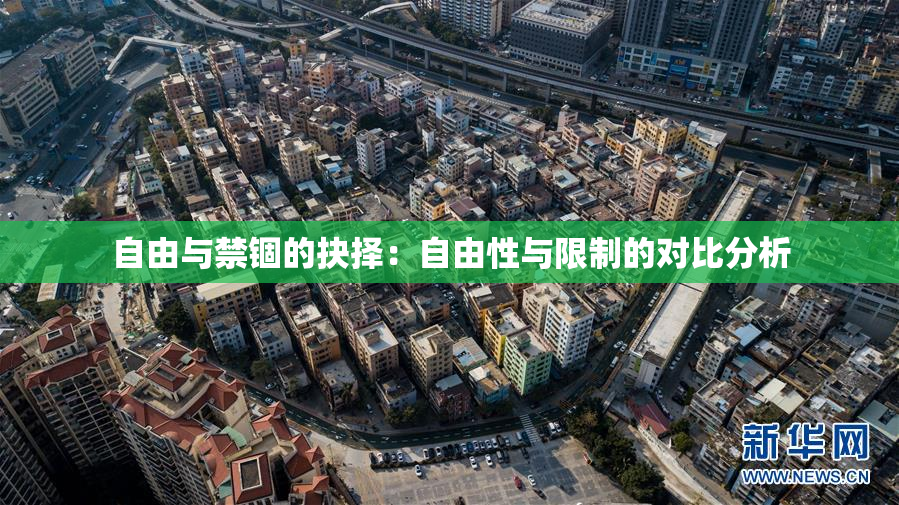 自由与禁锢的抉择：自由性与限制的对比分析