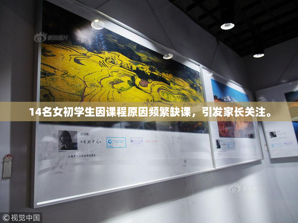 14名女初学生因课程原因频繁缺课，引发家长关注。