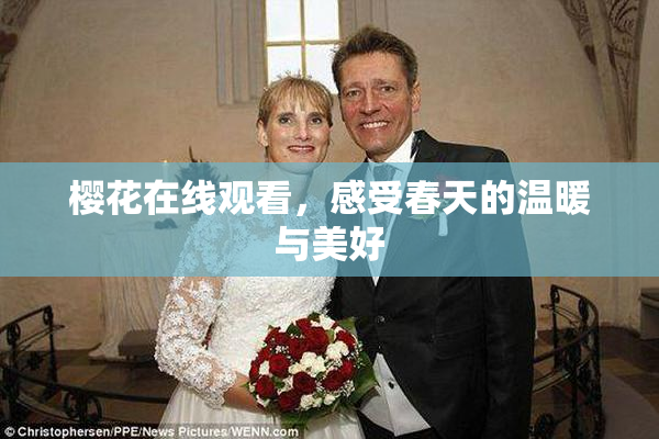 樱花在线观看，感受春天的温暖与美好