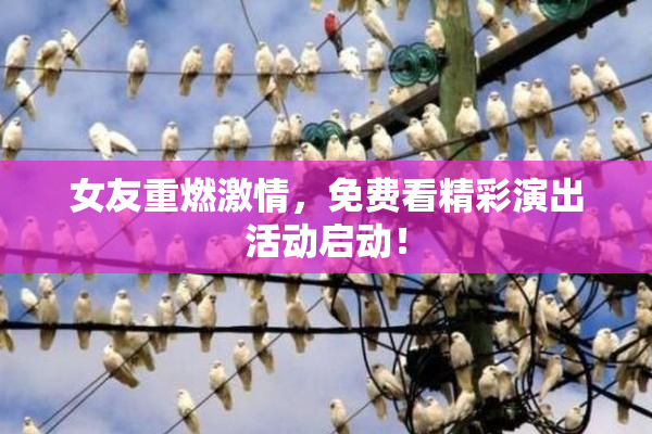 女友重燃激情，免费看精彩演出活动启动！