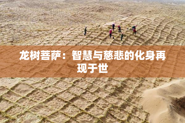 龙树菩萨：智慧与慈悲的化身再现于世