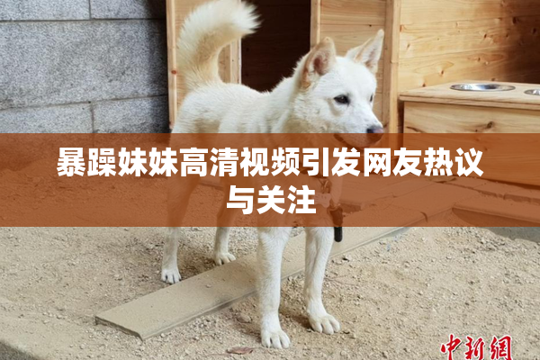 暴躁妹妹高清视频引发网友热议与关注