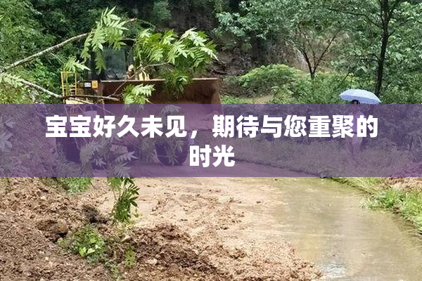 宝宝好久未见，期待与您重聚的时光