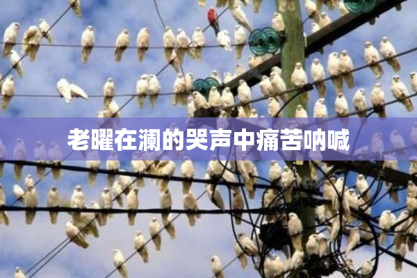 老曜在澜的哭声中痛苦呐喊