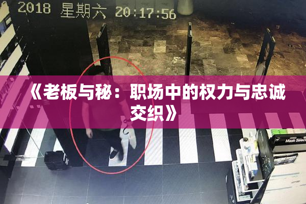 《老板与秘：职场中的权力与忠诚交织》