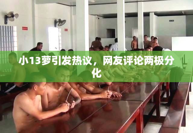 小13萝引发热议，网友评论两极分化