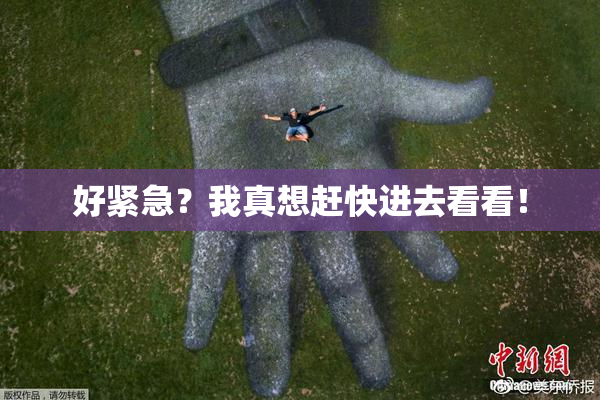 好紧急？我真想赶快进去看看！